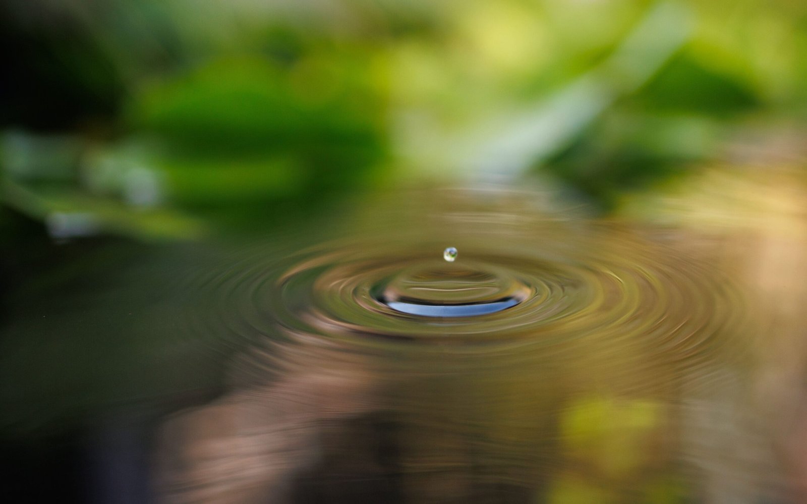 selective focus shot of a water droplet falling in 2023 11 27 05 23 56 utc scaled